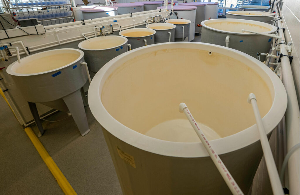 Inmec mixing and blending